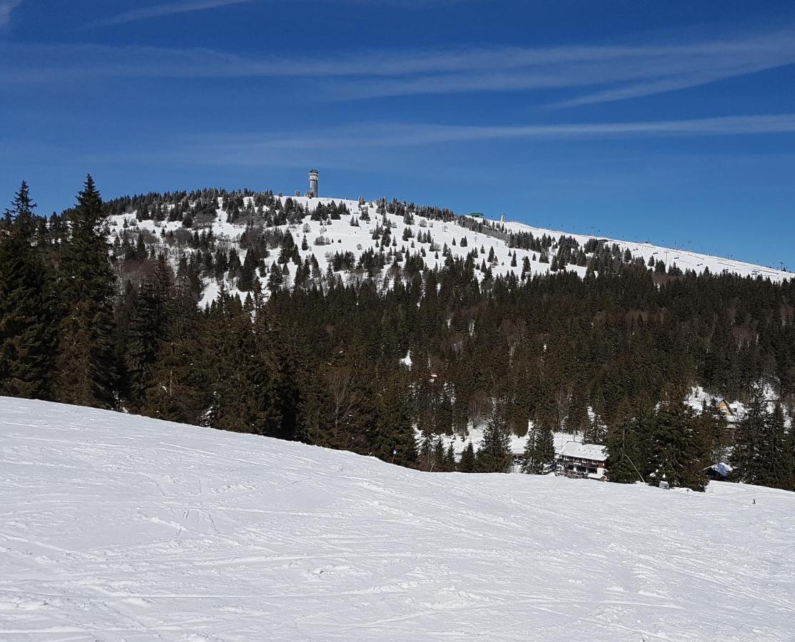 Enjoy Ferienwohnung Feldberg Grafenmatt Zewnętrze zdjęcie